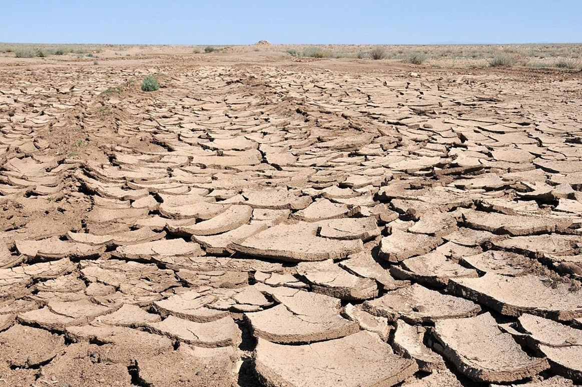 Land Degradation