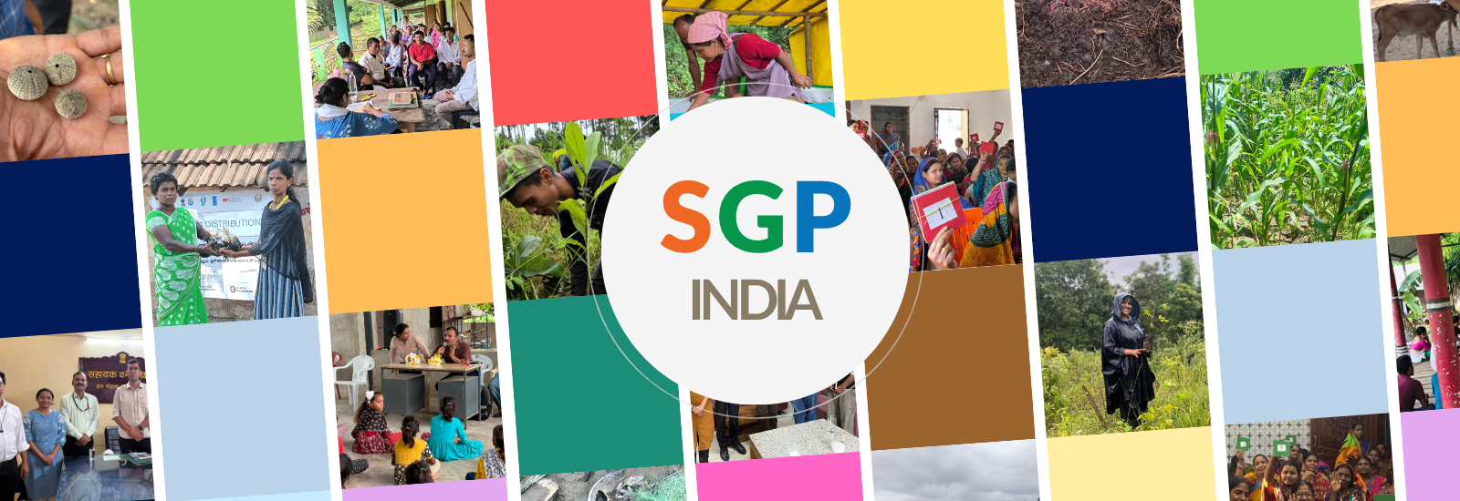 SGP Banner 3